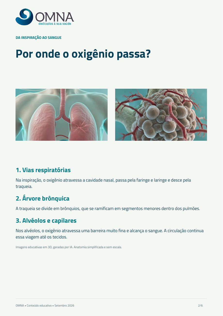 Página 2 de 6 do guia ilustrado de terapia hiperbárica