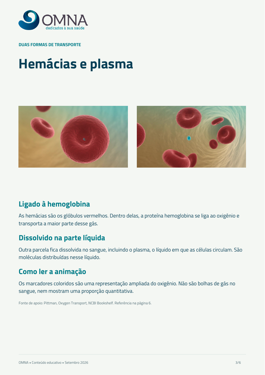 Página 3 de 6 do guia ilustrado de terapia hiperbárica